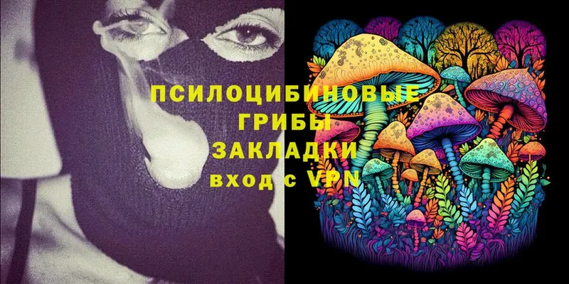 Галлюциногенные грибы MAGIC MUSHROOMS  даркнет как зайти  Гулькевичи  купить закладку 